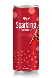 Sparkling Carbonated 250ml can 03