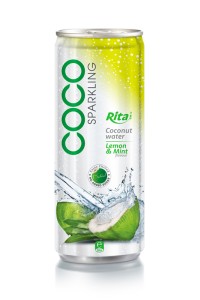 柠檬薄荷味含汽椰子水