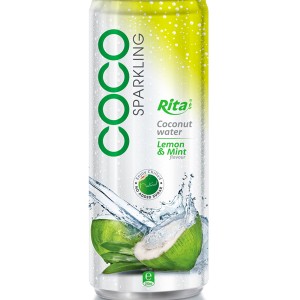 柠檬薄荷味含汽椰子水