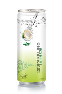 250毫升高罐含汽椰子水2