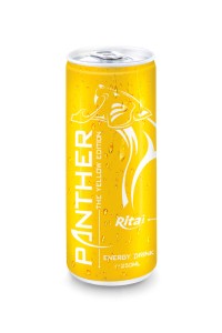 250毫升高罐黄版功能饮料