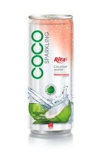 西瓜味含汽椰子水