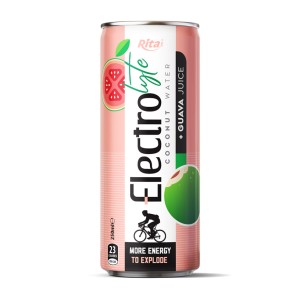 250 毫升罐装电解质椰子水和番石榴汁