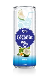 320毫升罐装含汽椰子水