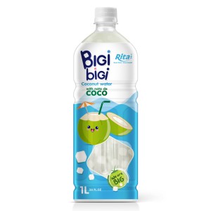BiGi BiGi 椰果椰子水饮料1L PET 瓶装