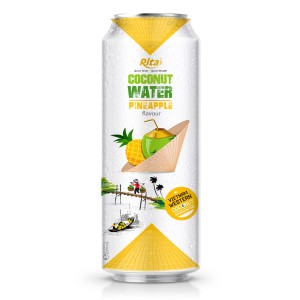 椰子水与菠萝味500ml自己的品牌