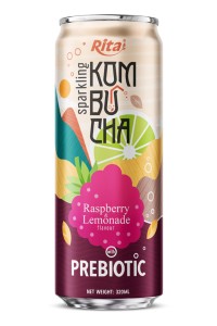 覆盆子柠檬风味益生元气泡康普茶饮料