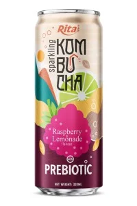 覆盆子柠檬风味益生元气泡康普茶饮料