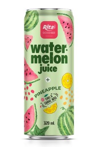 320ml 光滑罐装丽塔西瓜汁加菠萝饮料