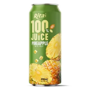 Rita 100% 纯 菠萝 果汁 罐装 490ml