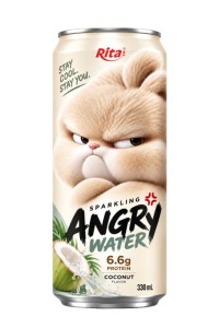 RITA 愤怒水椰子味气泡蛋白饮料 330ml